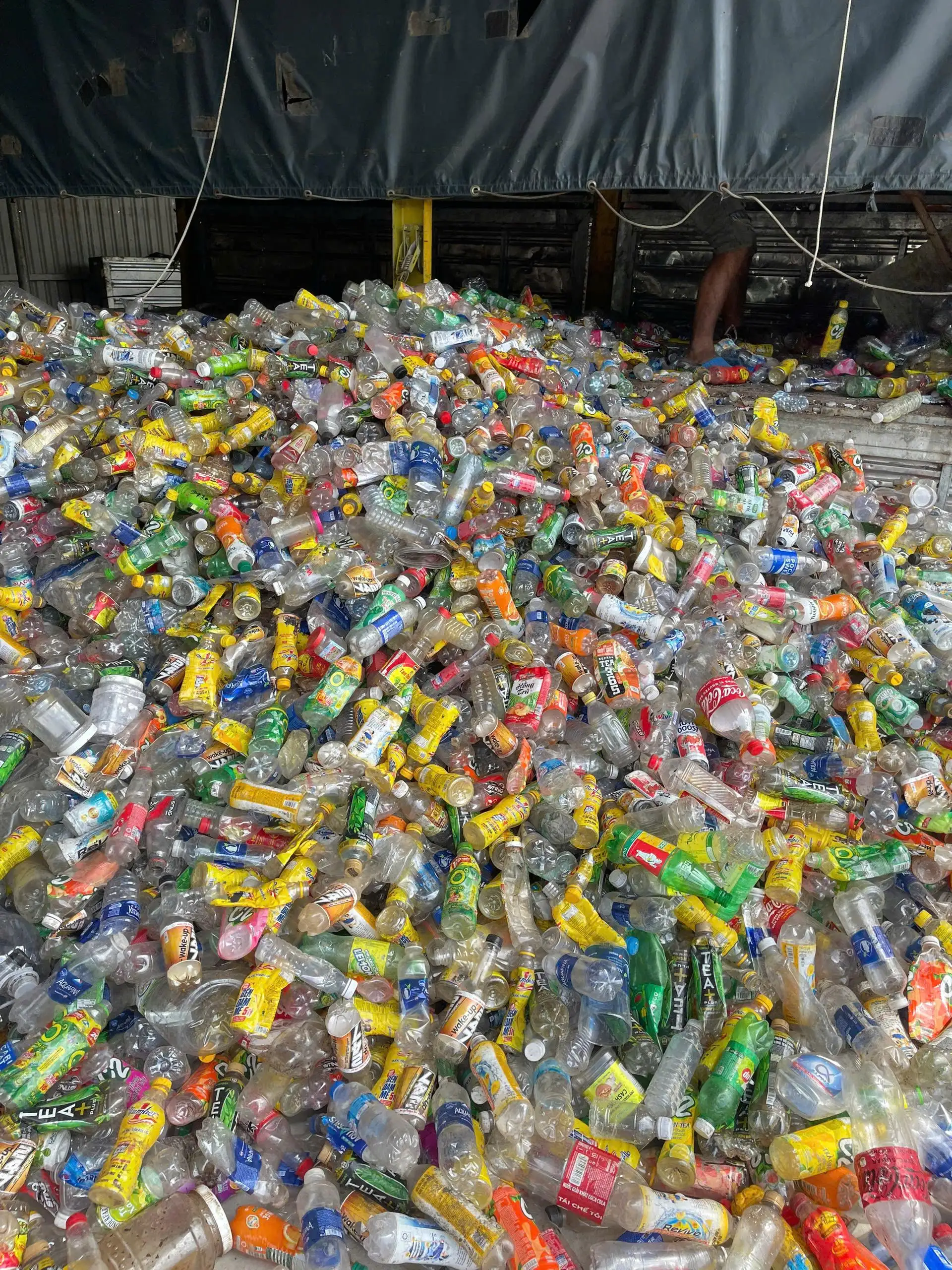 THU MUA CHAI PET TẠI BÌNH DƯƠNG
