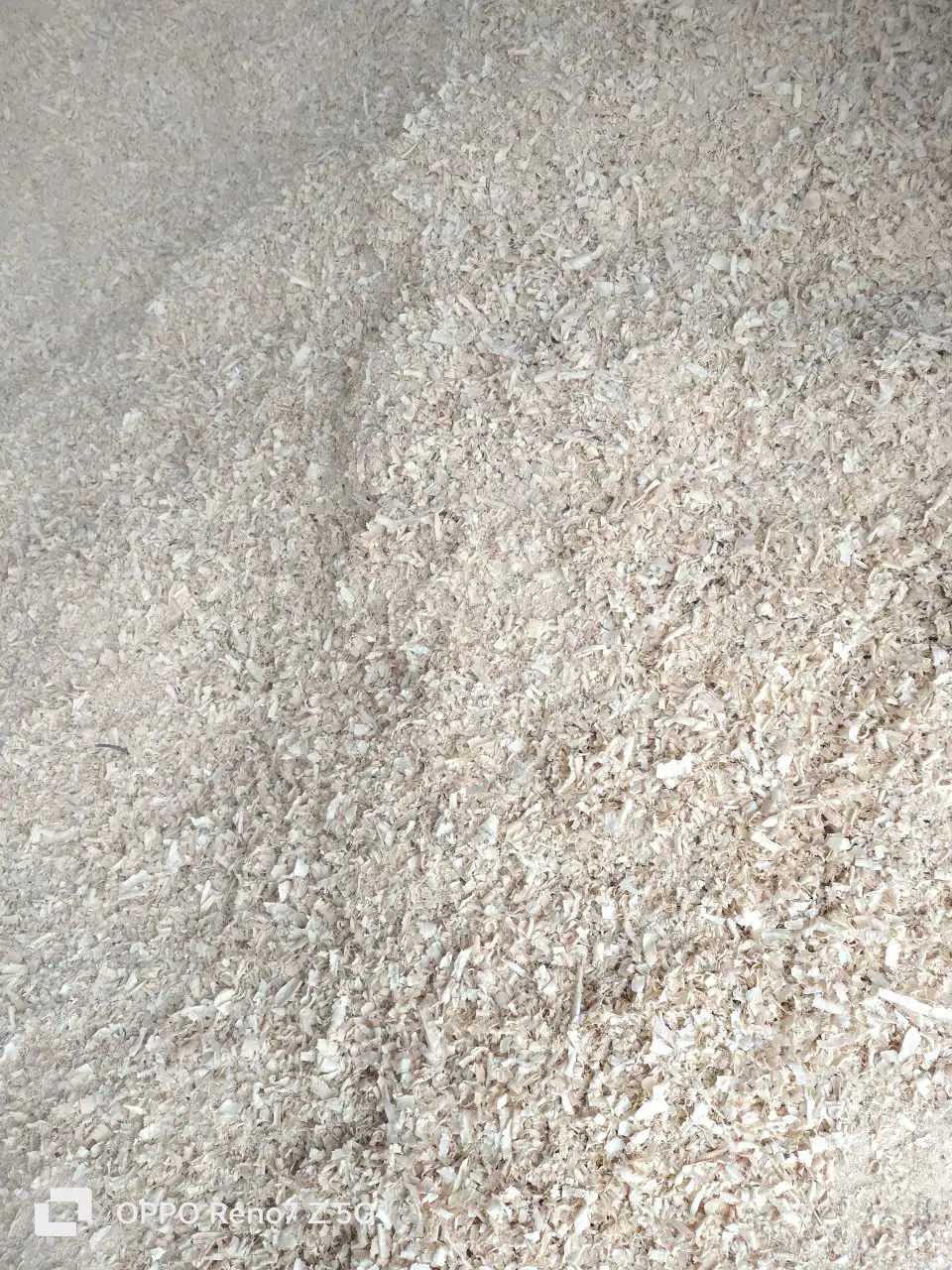 THU MUA DĂM BÀO-CỦI VỤN TẬN NƠI