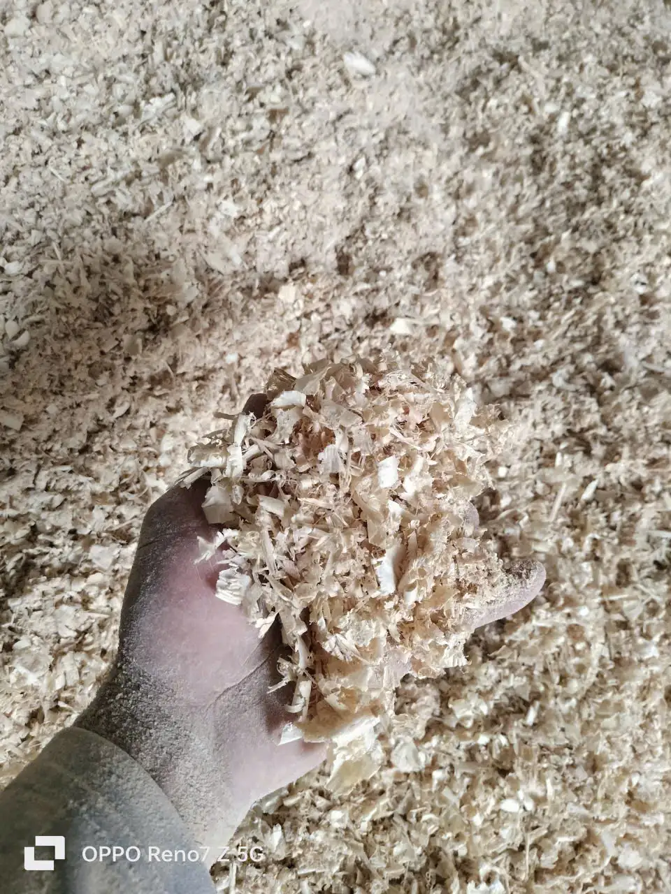 Lưu bản nháp tự động